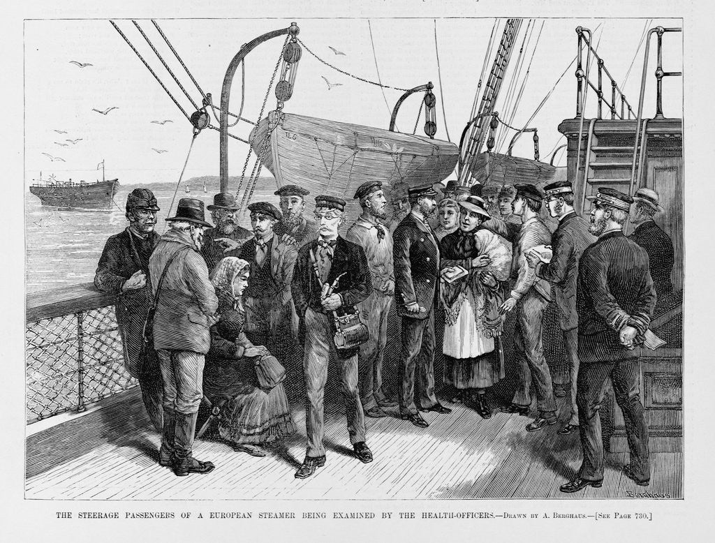 Detail of The steerage passengers of a European steamer being examined by the Health Officers by A. Berghaus