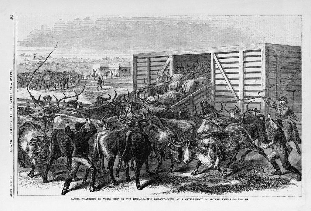 Detail of Kansas - Transport of Texas beef on the Kansas Pacific railway - scene at a cattle shoot in Abilene, Kansas by Anonymous