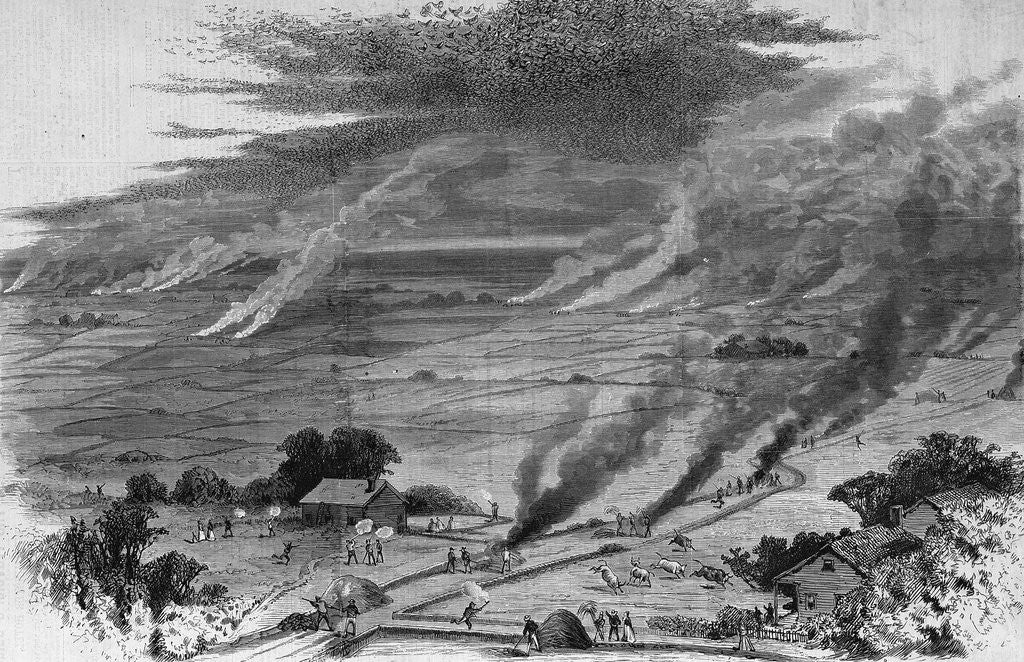 Detail of The Grasshopper Plague in Iowa - Farmers of Wright County Driving Away the Pest by Burning Straw Cove by Anonymous