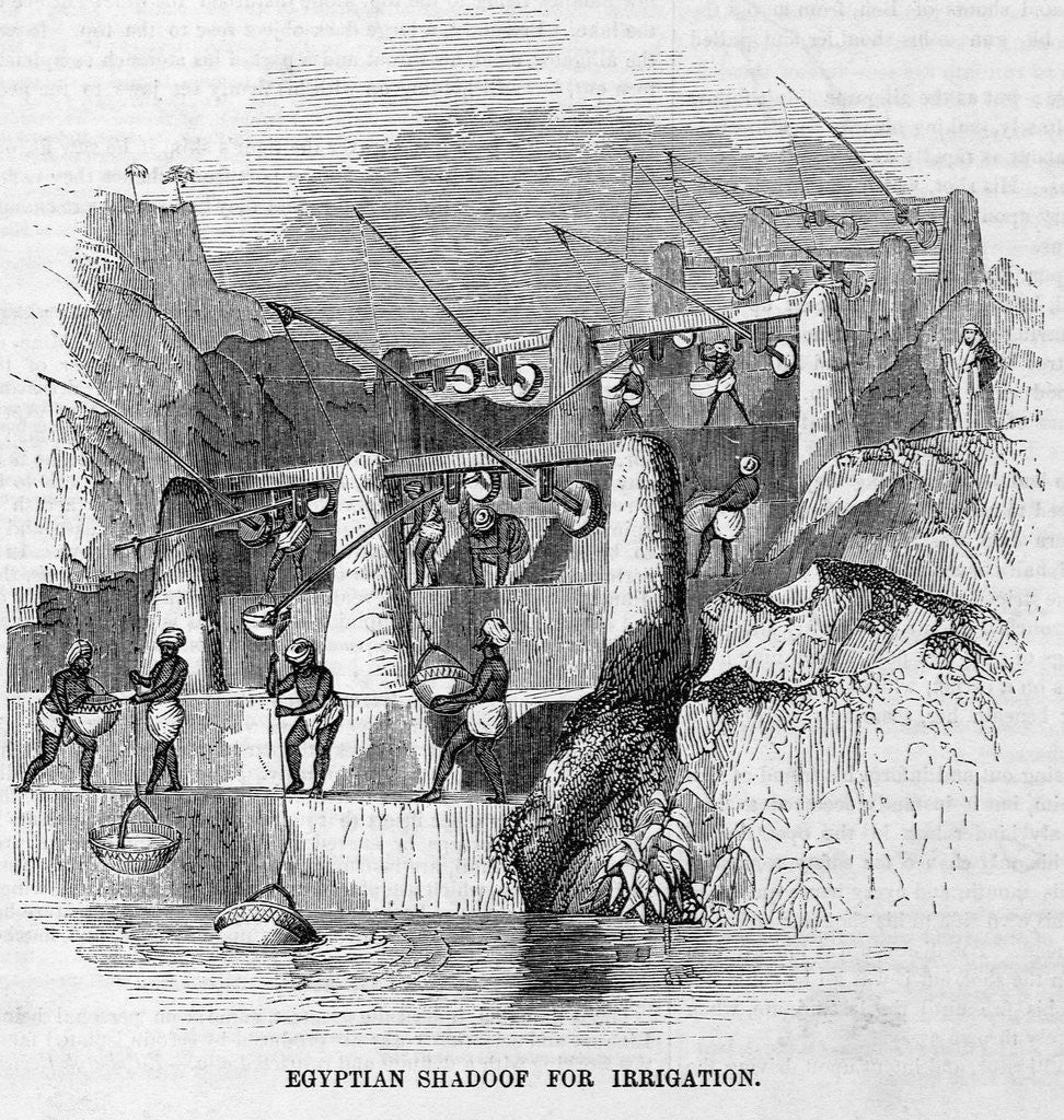 Detail of Egyptian Shadoof for Irrigation by Anonymous