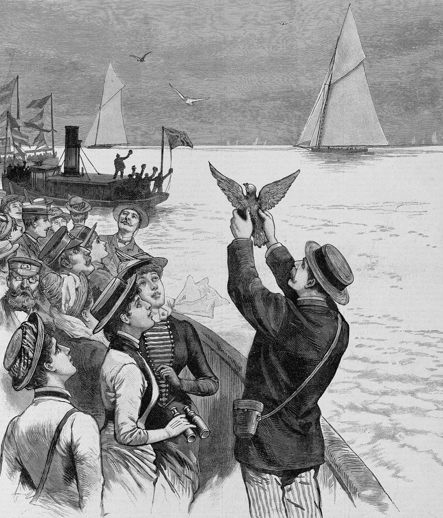 Detail of The International Yacht-Races - Dispatching Carrier Pigeons with news of the progress of the race of September 7th. From a sketch by a staff artist by Anonymous