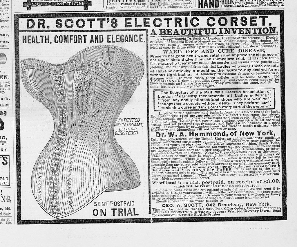 Detail of An advertisement for Dr. Scott's electrical corset by Anonymous