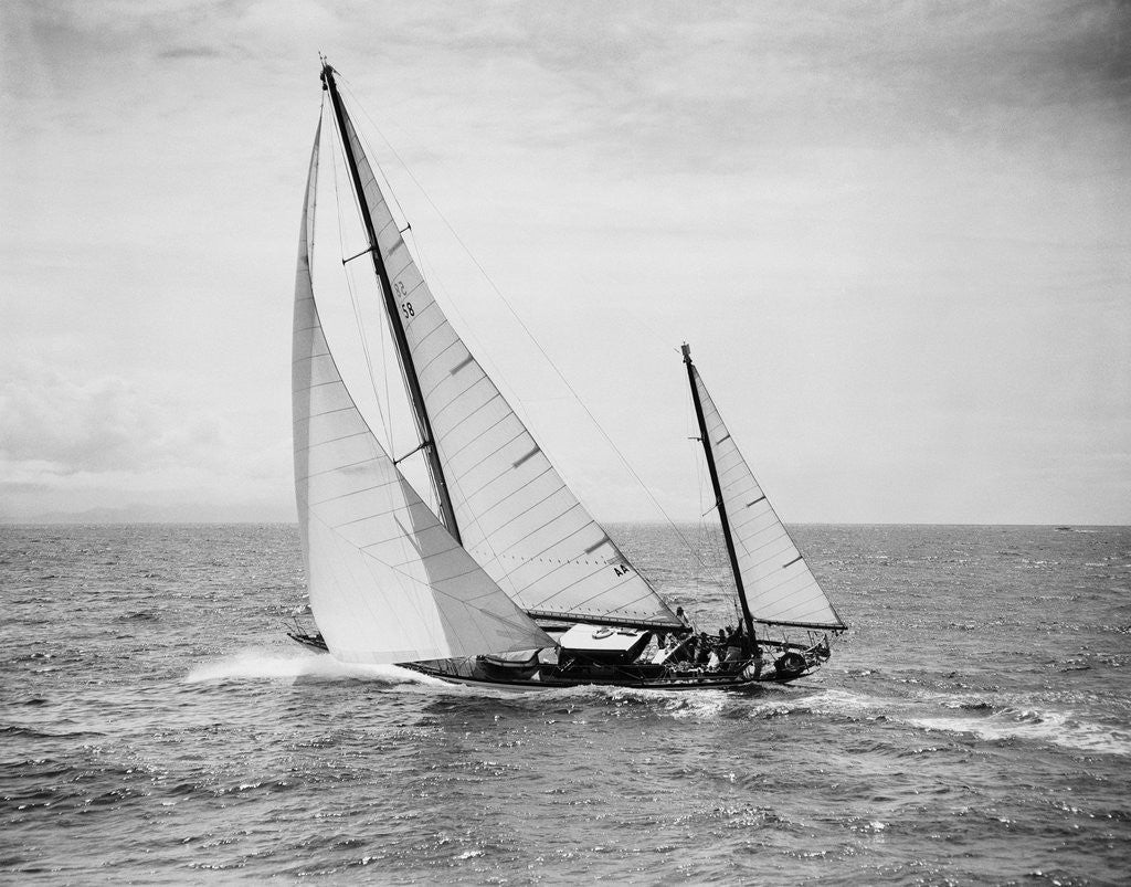 Detail of Diamond Head Yacht During a Race by Anonymous