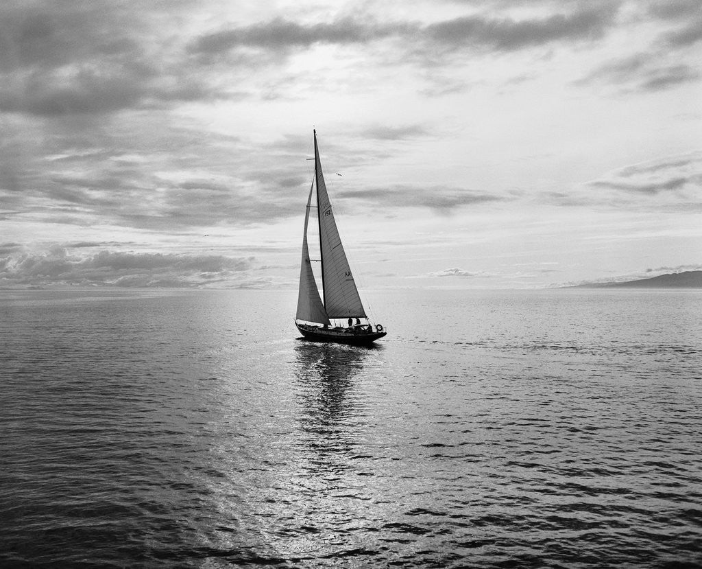 Detail of Alotola Yacht in Calm Water by Anonymous