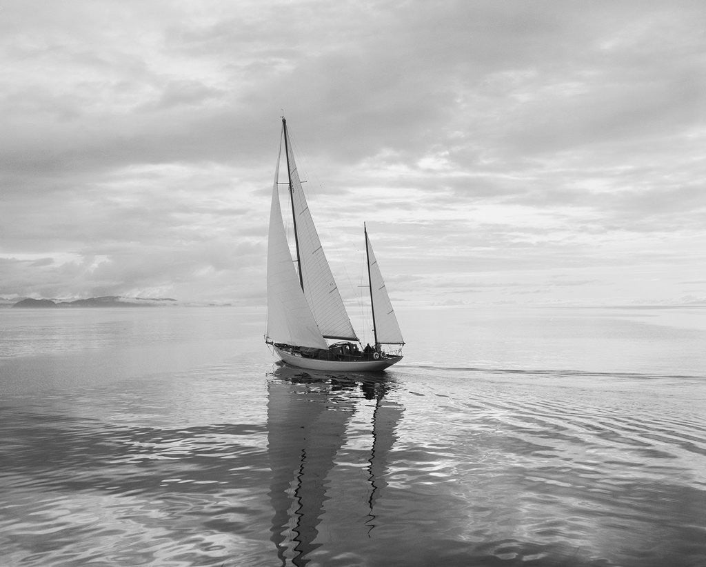 Detail of The Maruffa Sailboat in Calm Water by Anonymous