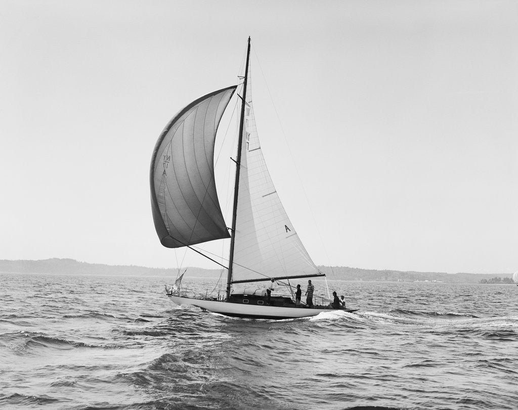 Detail of A Sailboat Running with Its Spinnaker Up by Corbis
