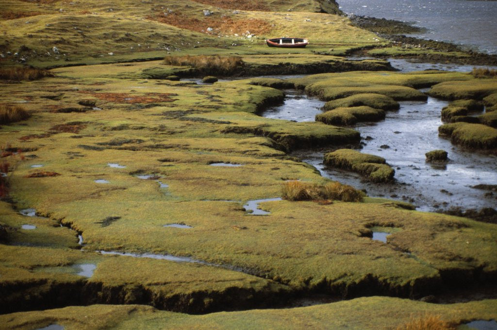 Detail of Marsh on Clew Bay by Anonymous