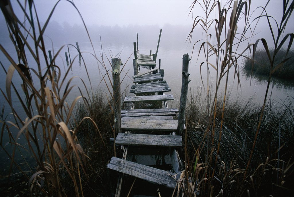 Detail of Weathered Dock in Fog by Anonymous