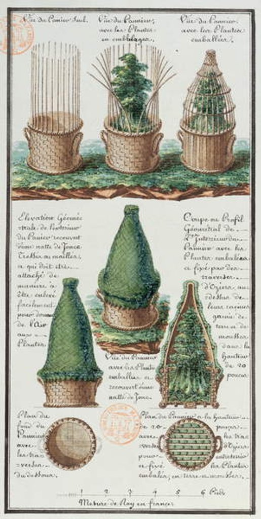 Detail of Illustration of a woven basket for transporting plants by Gaspard Duche de Vancy