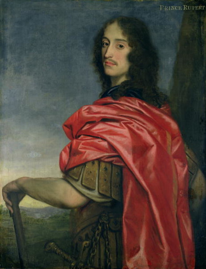 Detail of Portrait of Prince Rupert by English School