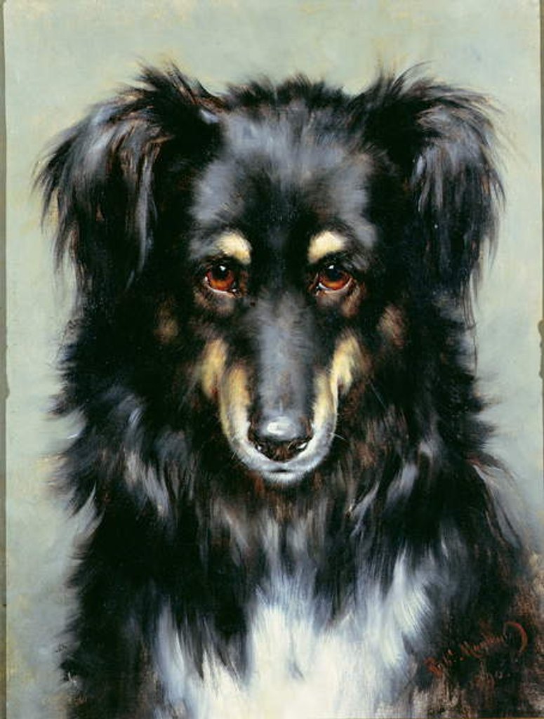 Detail of A Black and Tan Collie, 1890 by Robert Morley