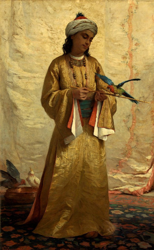 Detail of A Moorish Girl with Parakeet by Henrietta Brown