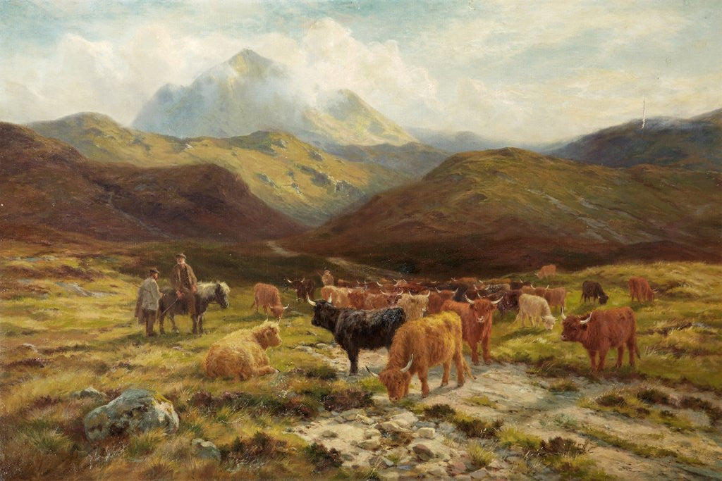 Detail of Ben Eay, Kinlochawe by Henry Garland