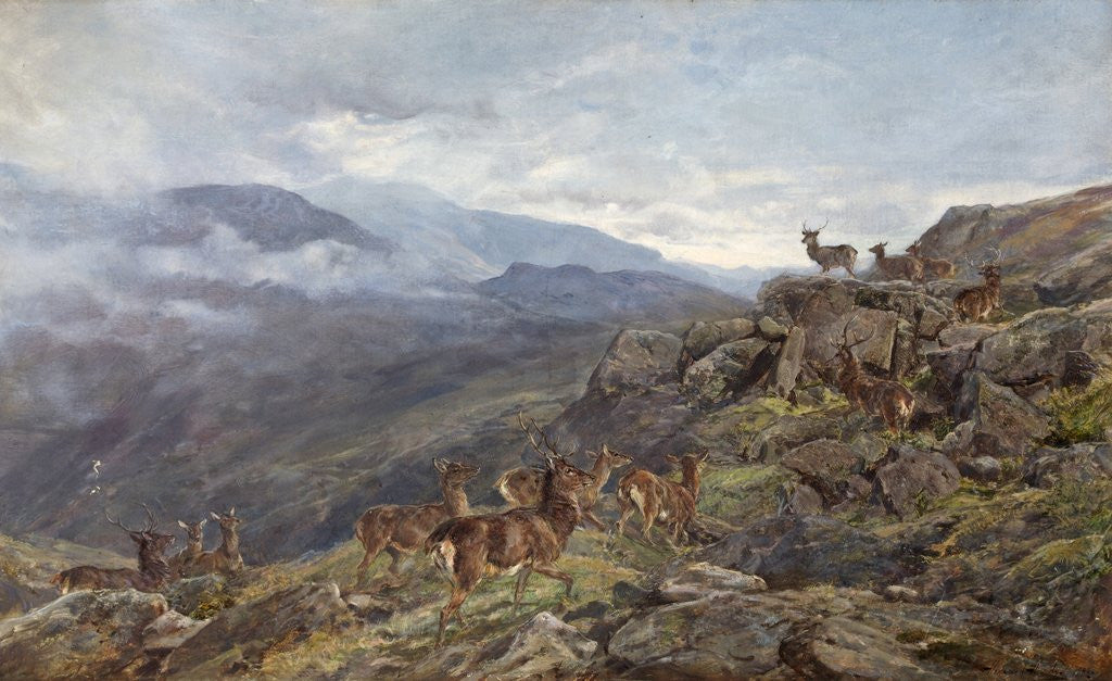 Detail of Deer in Mountains by Heywood Hardy