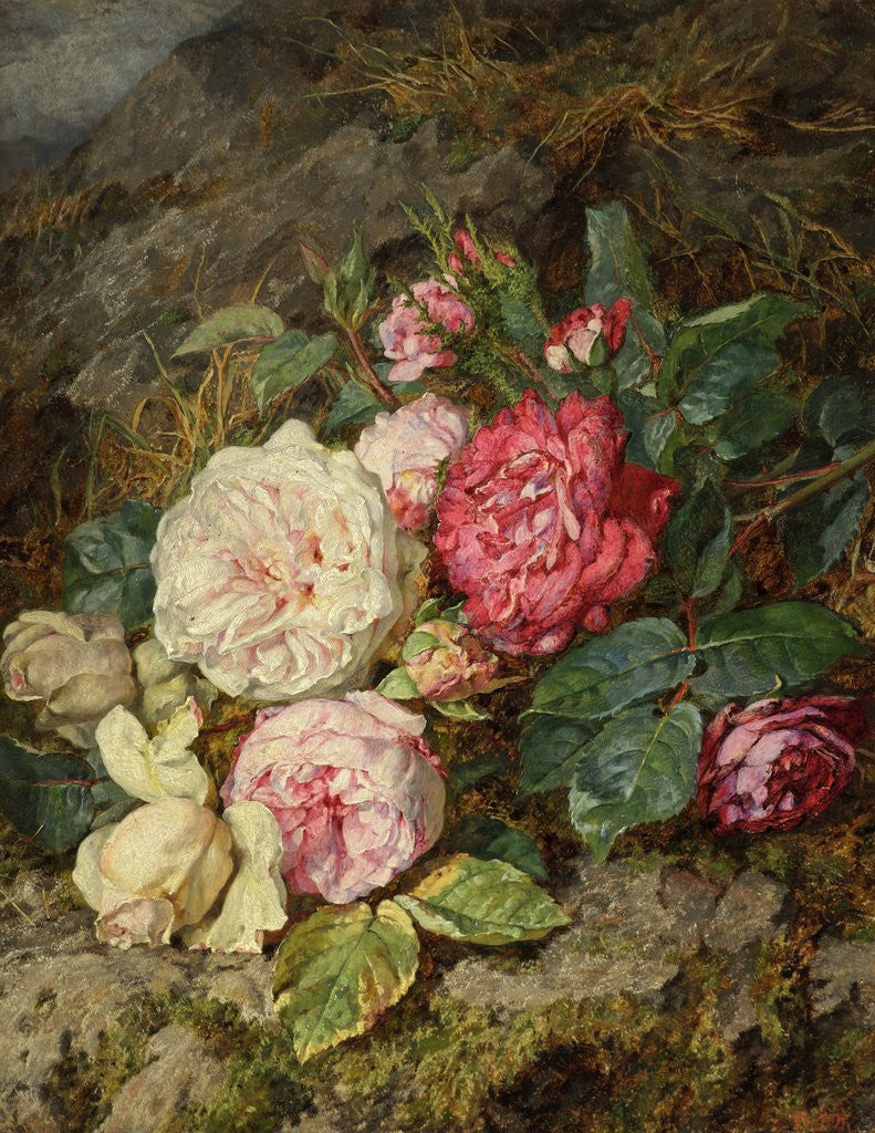 Detail of Roses by Martha Darley Mutrie