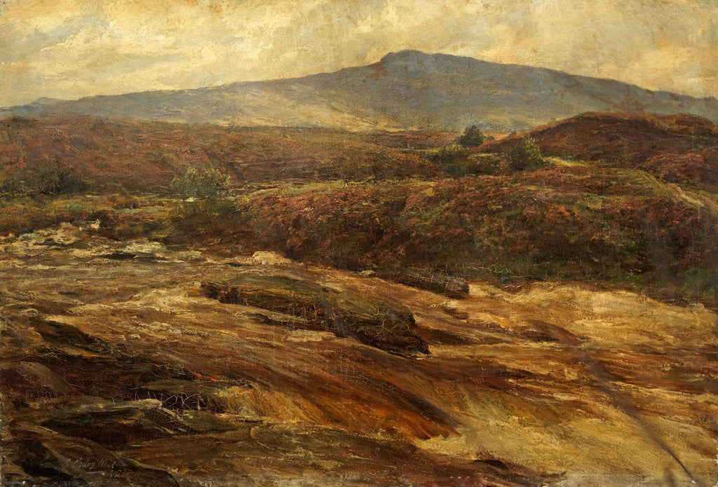 Detail of A Highland Spate by George Ogilvy-Reid