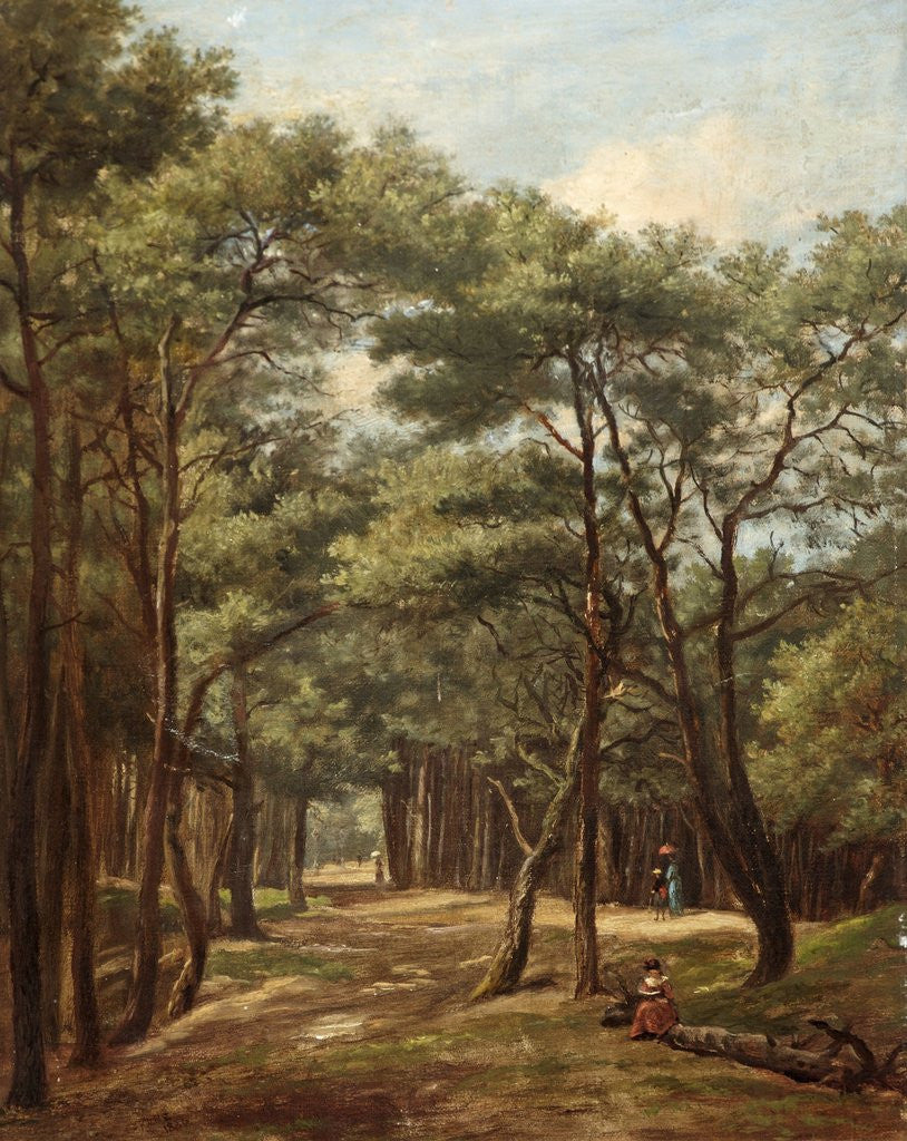 Detail of Manor Road, Bournemouth, 1886 by G. Pare