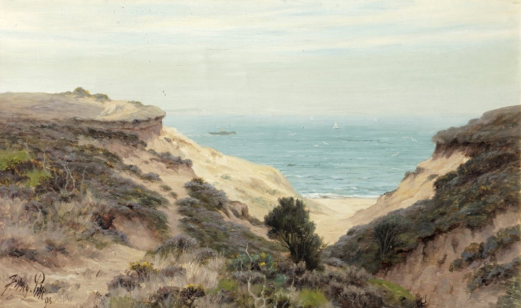 Detail of Middle Chine with SS Broderick Castle by Sidney Pike
