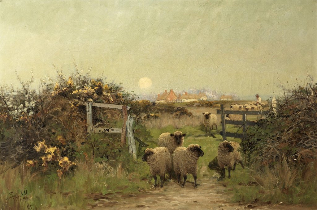 Detail of Sheep in Meadow by Sidney Pike