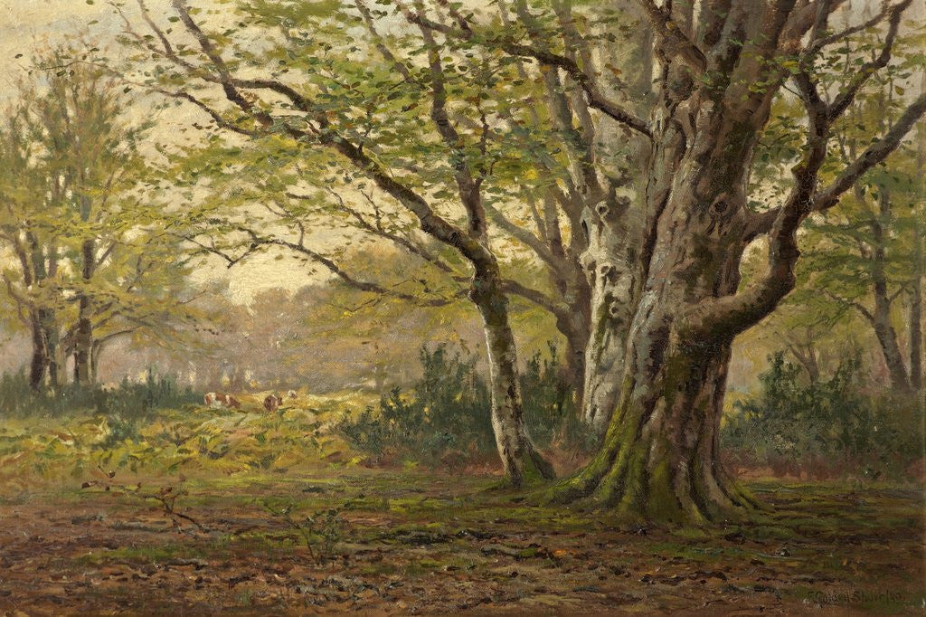 Detail of A New Forest Glade by F. Golden Short