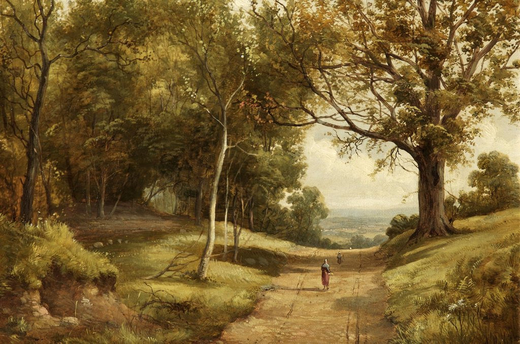 Detail of Sherwood Forest by Alfred H. Vickers
