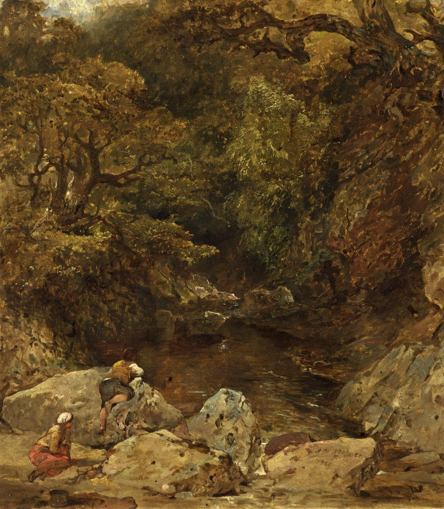 Detail of The Waterfall by Alfred Joseph Woolmer