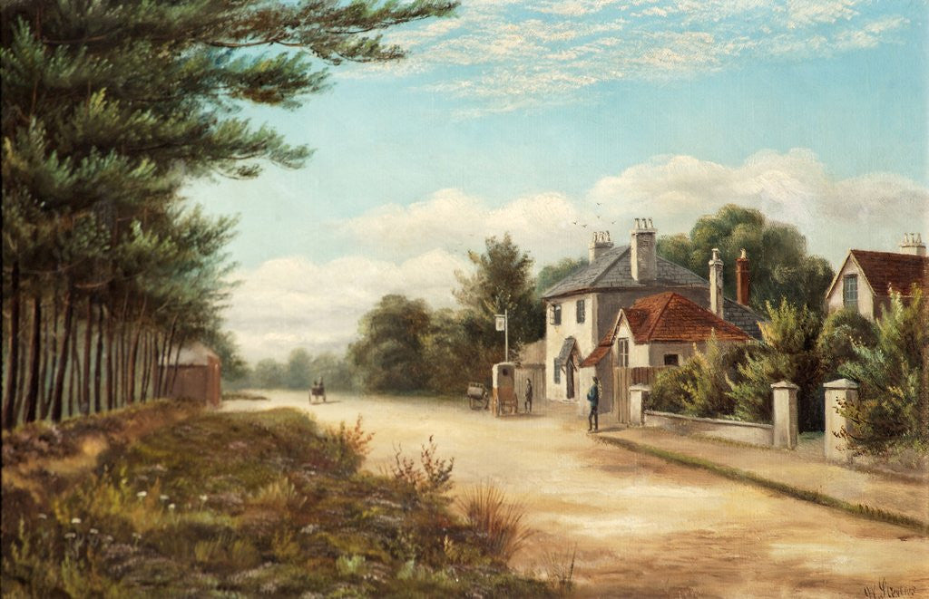 Detail of The Ragged Cat by Walter W. Stevens