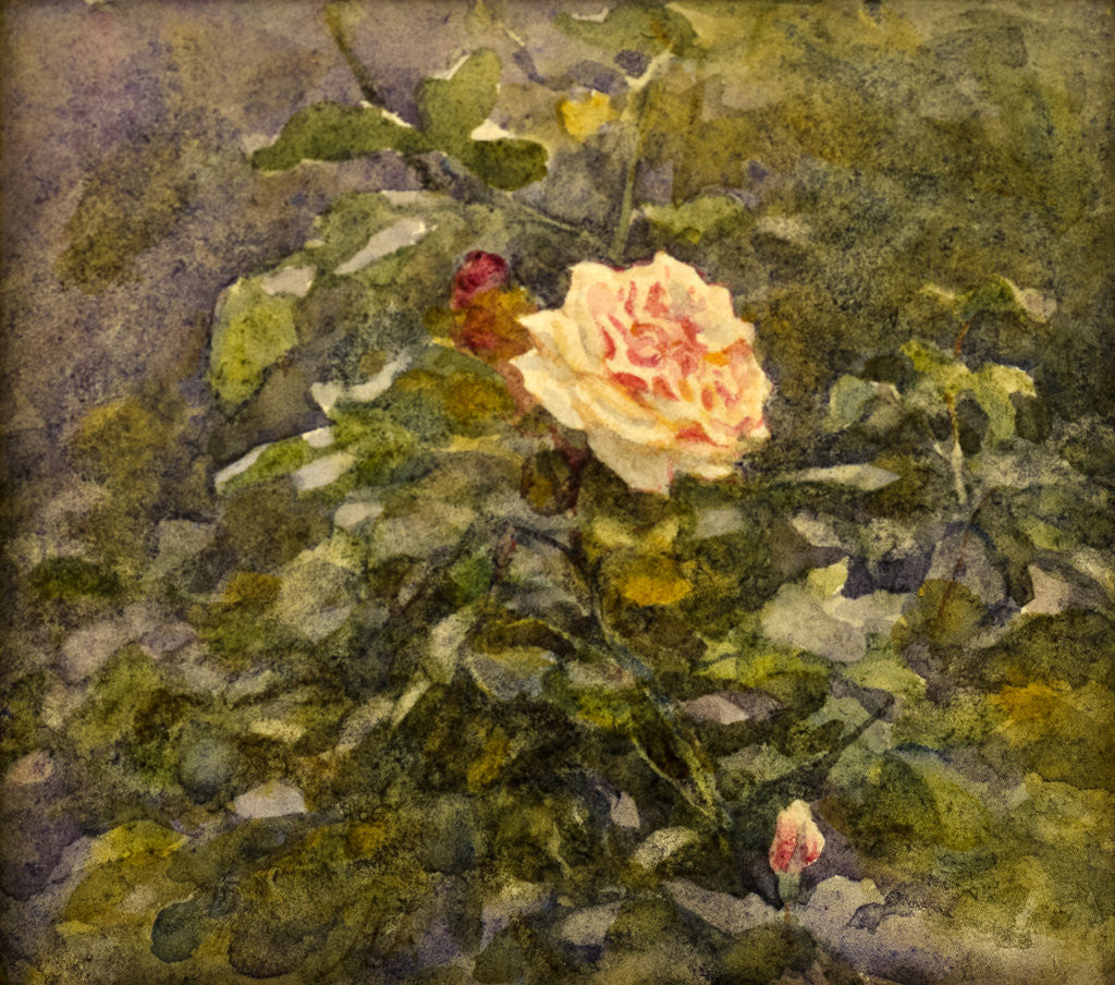 Detail of Flower Study by Helen Allingham