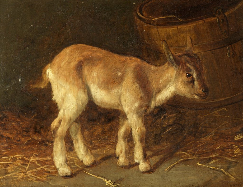 Detail of A Kid by H. Desugner