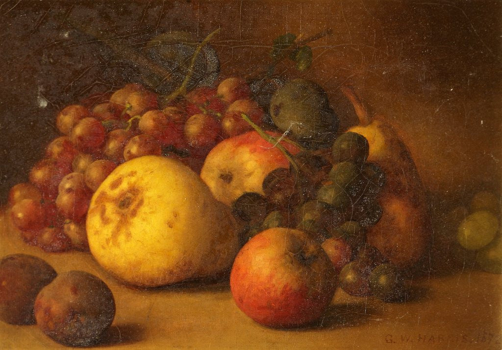 Detail of Still Life with Pear Apples Grapes and Plums by George Walter Harris