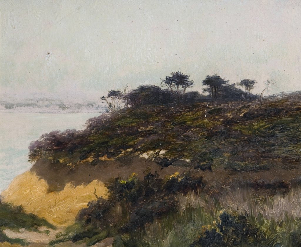Detail of West Cliff, Bournemouth by Sidney Pike