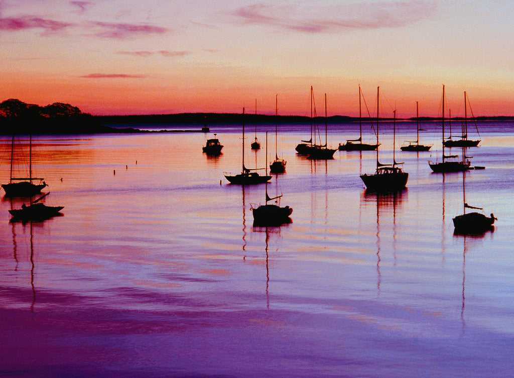Detail of Sailboats Anchored in a Harbor by Anonymous