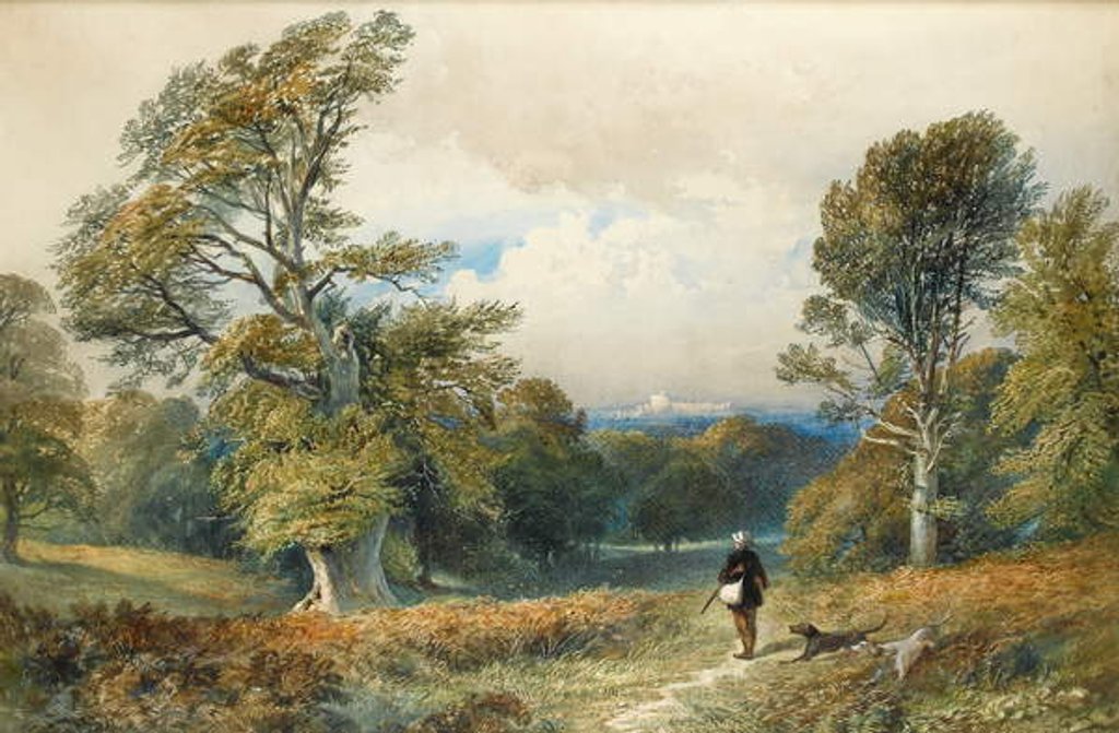 Detail of Rough Shooting in Windsor Great Park by William Collingwood Smith