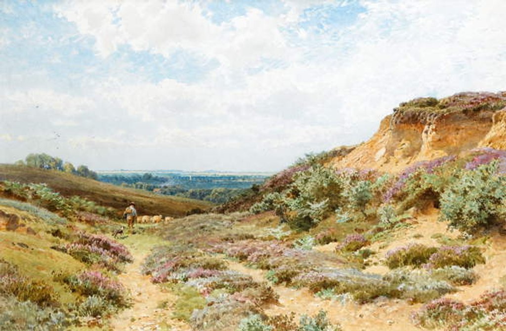 Detail of Heather on a Surrey Heath by Henry Sutton Palmer