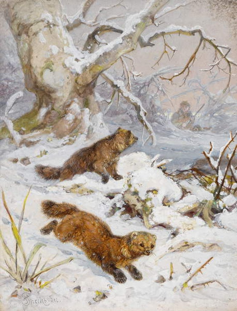 Detail of Wolverines in the Snow by August Specht