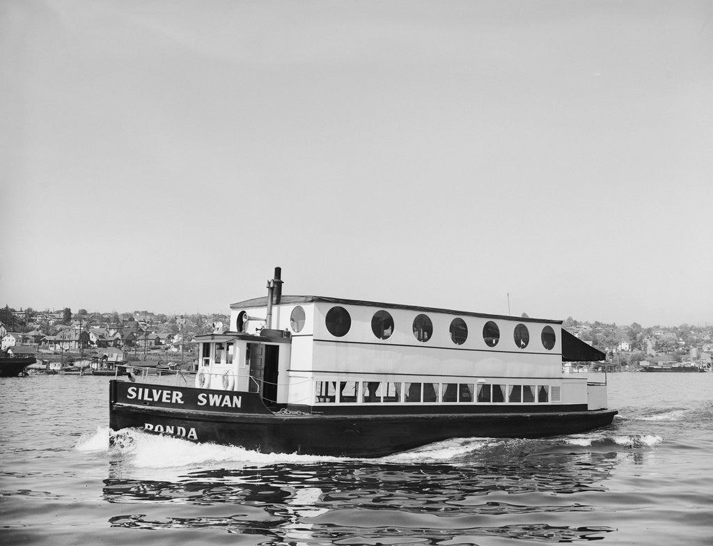 Detail of The Silver Swan on Lake Union by Corbis