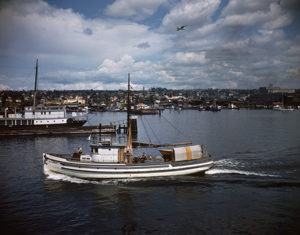 Detail of Halibut Fishing Vessel Alma in Salmon Bay by Anonymous