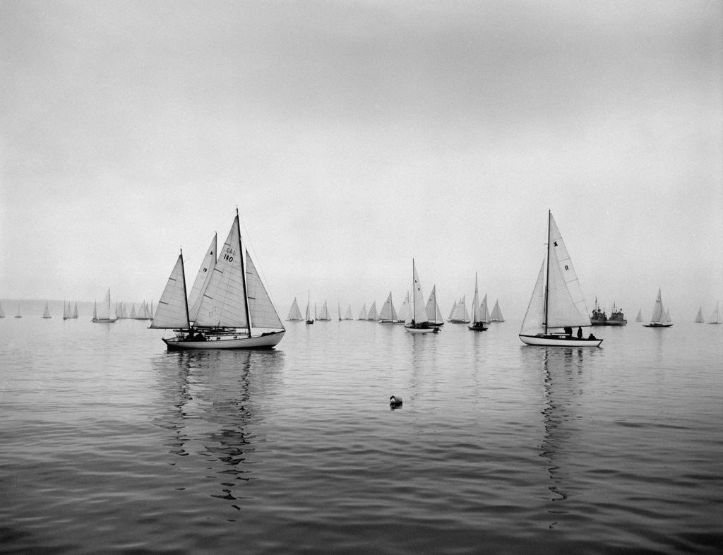 Detail of Sailboats Waiting to Race by Anonymous