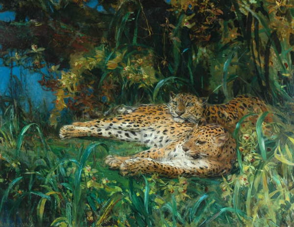 Detail of Indian Leopards by John Macallan Swan
