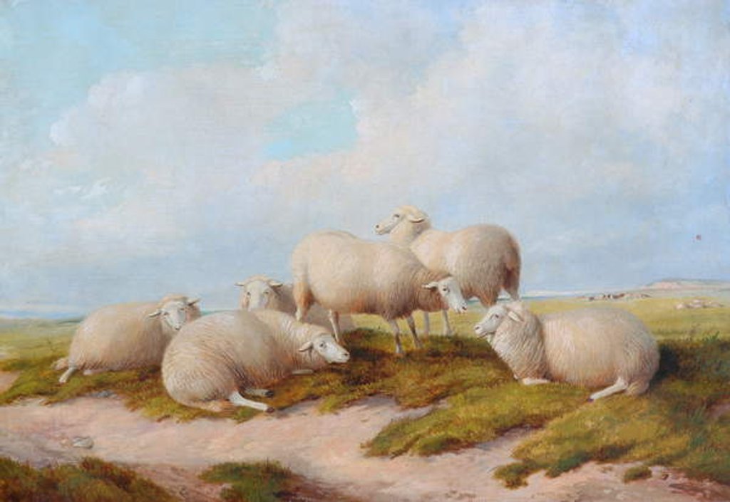 Detail of Sheep by Thomas Sidney (style of) Cooper
