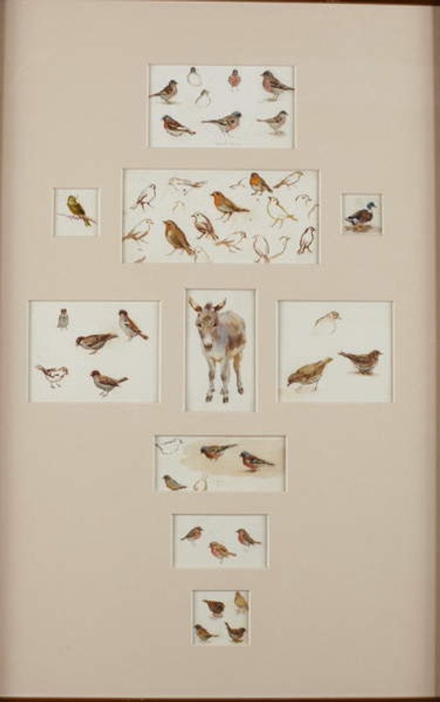 Detail of Sketches of a donkey and birds by Helen Allingham