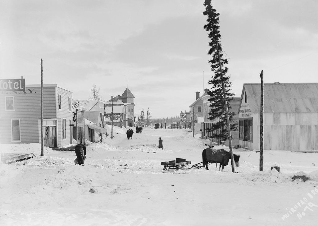 Detail of First Street in Atlin by Anonymous