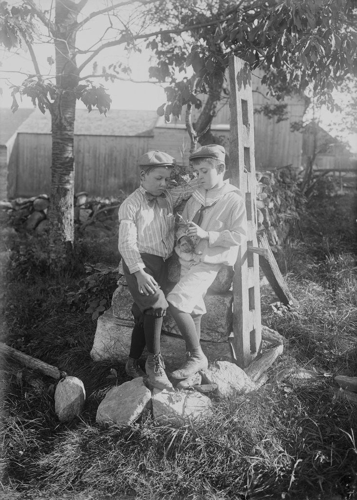 Detail of Boys Standing on Rocks by Anonymous