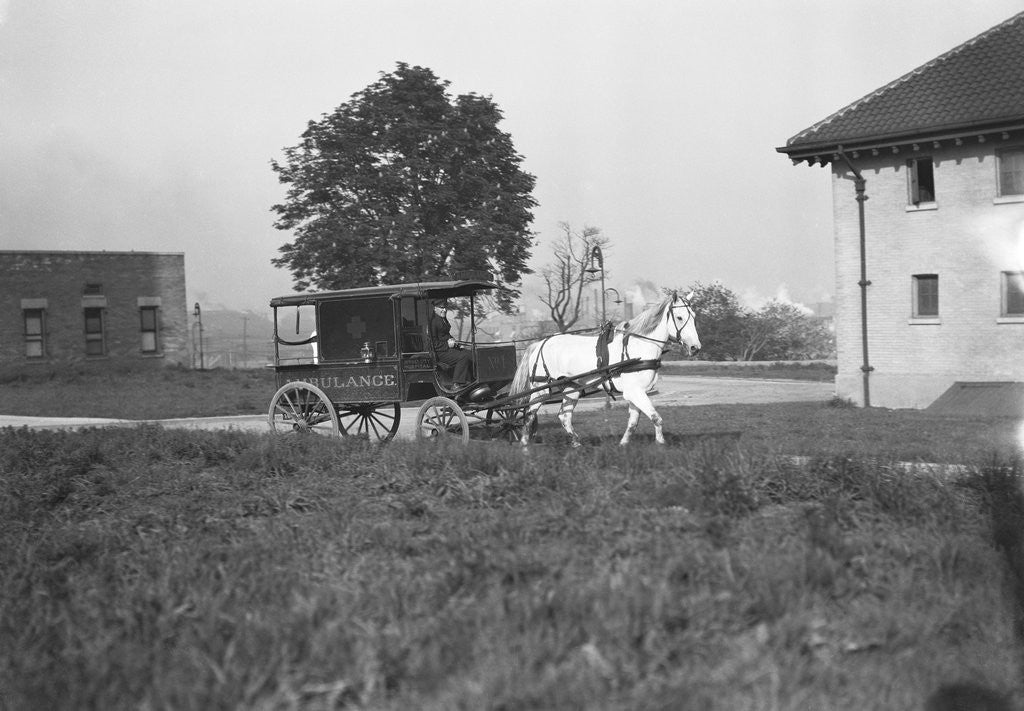 Detail of Horse-Drawn Ambulance by Corbis