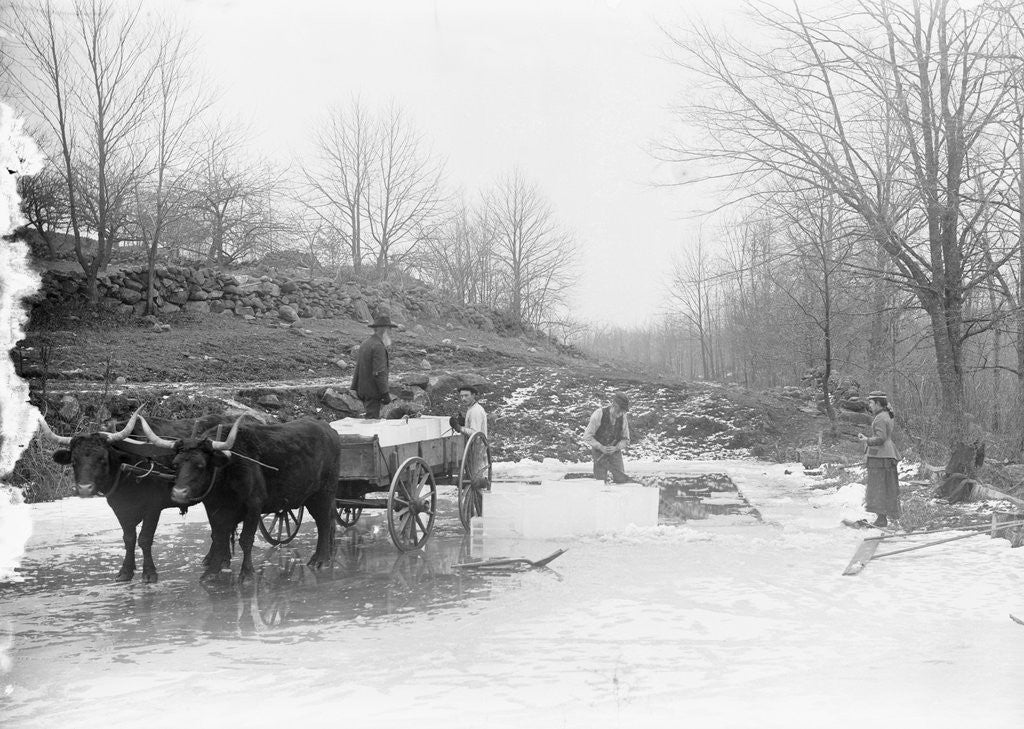 Detail of Men Cutting Ice by Anonymous