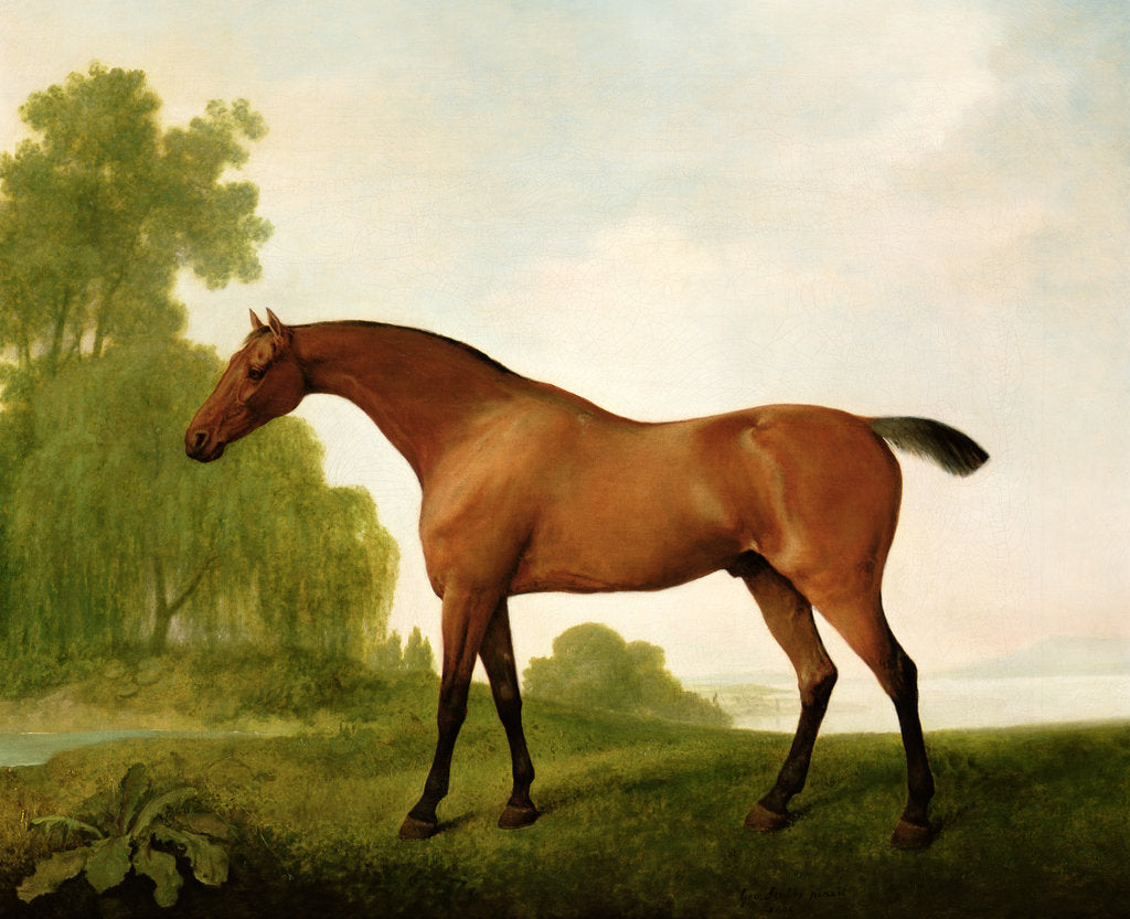 Detail of A Bay Thoroughbred in a Landscape, 1801 by George Stubbs