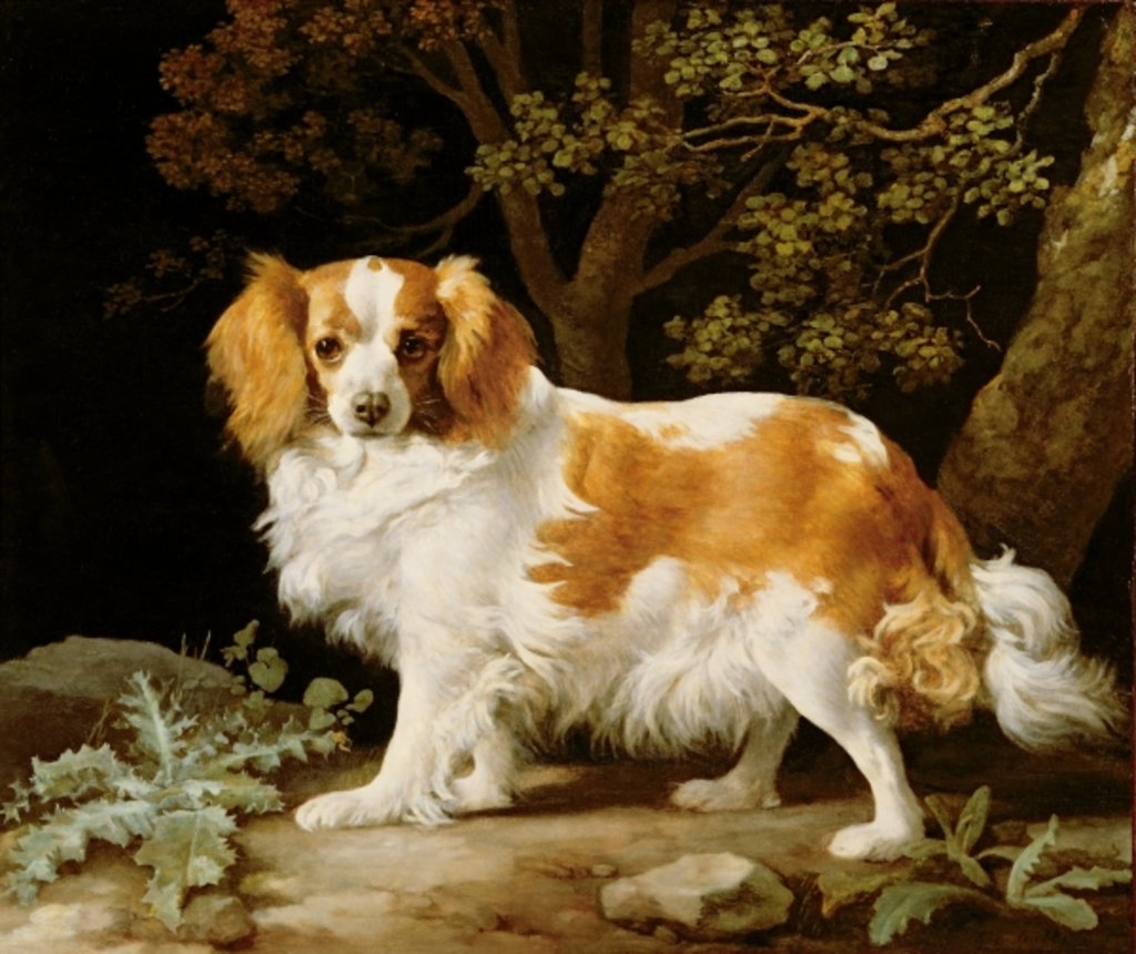 Detail of A Liver and White King Charles Spaniel in a Wooded Landscape, 1776 by George Stubbs