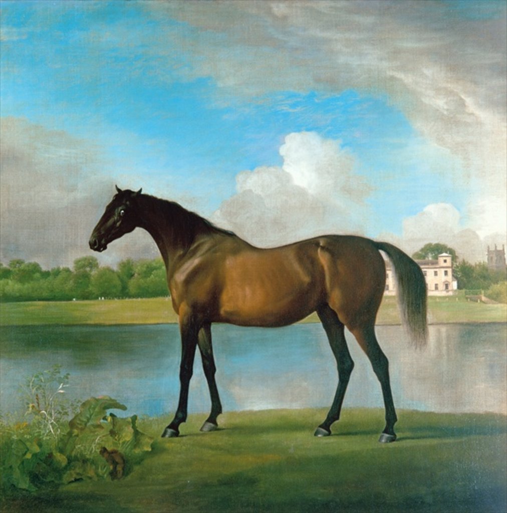Detail of Lord Bolingbroke's Brood Mare in the Grounds of Lydiard Park, Wiltshire, c.1764-66 by George Stubbs