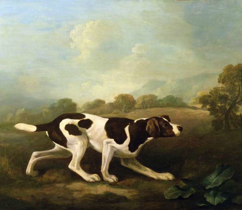 Detail of A Pointer by George Stubbs