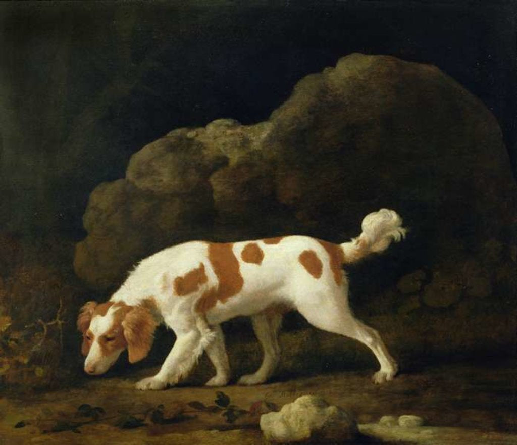 Detail of A Spaniel by George Stubbs